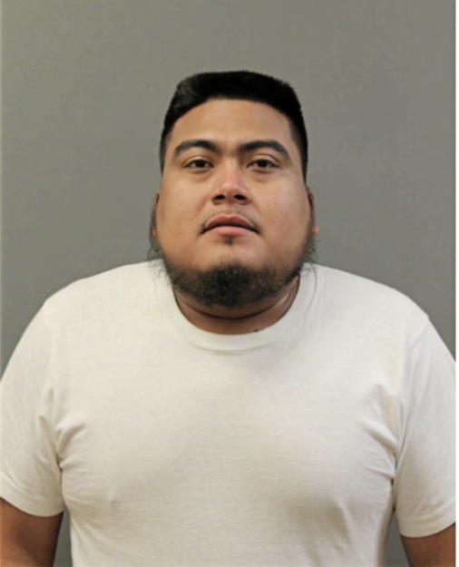 ROGELIO REYES, Cook County, Illinois