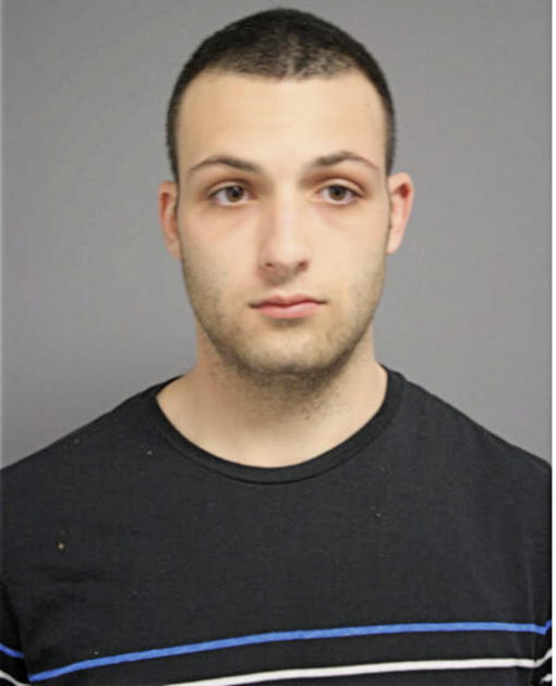 LANDON EDWARD SOFFER, Cook County, Illinois