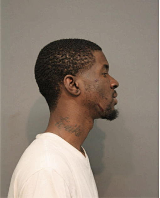 KENNETH D WATSON, Cook County, Illinois