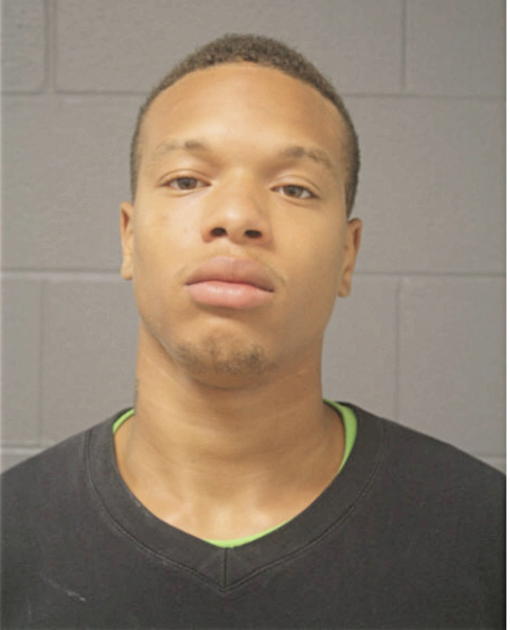 DANIEL L WOOD, Cook County, Illinois