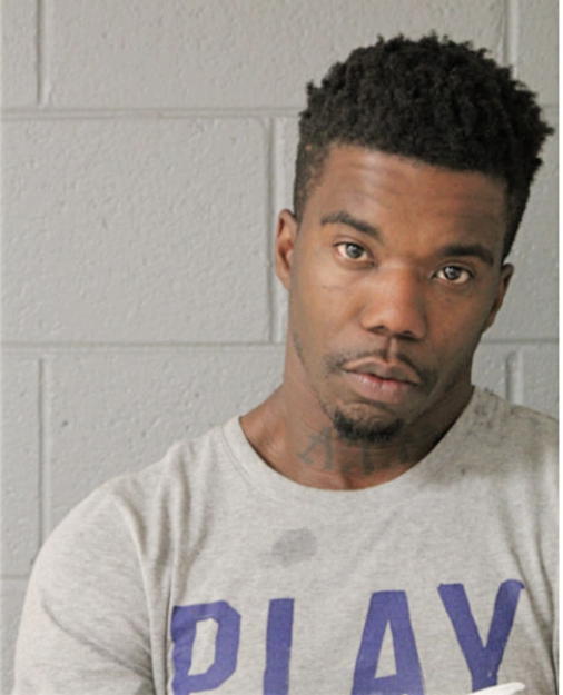 RAPHAEL D YOUNG, Cook County, Illinois