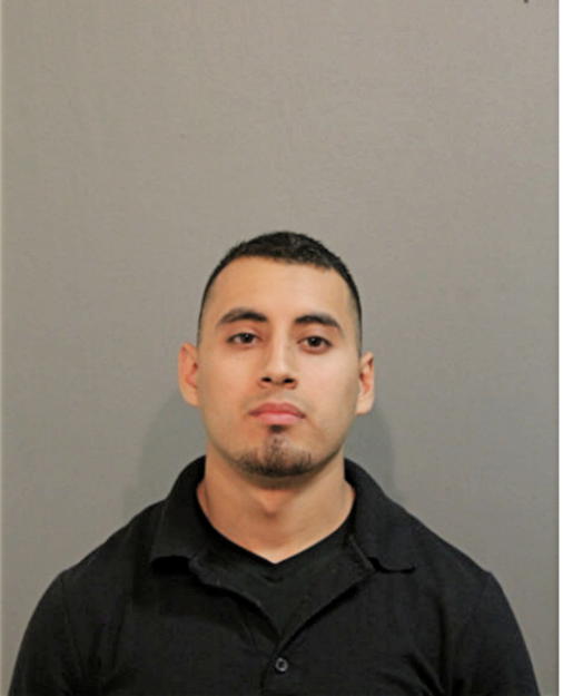 MIGUEL E ACOSTA, Cook County, Illinois