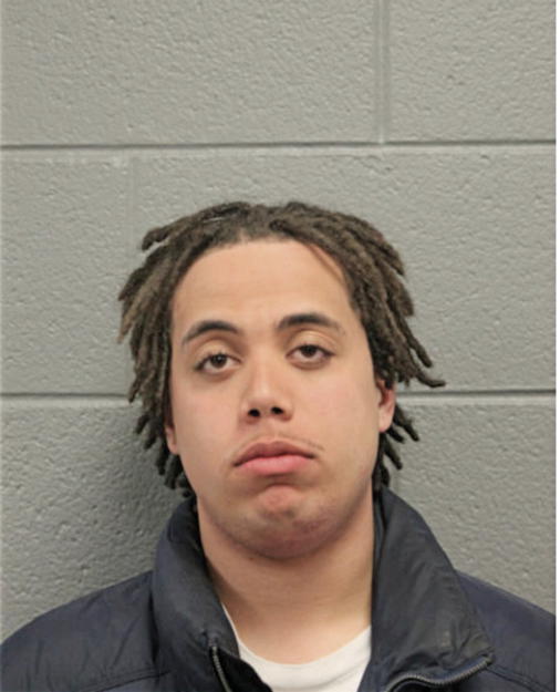 NIKOLAI T ANDERSON, Cook County, Illinois