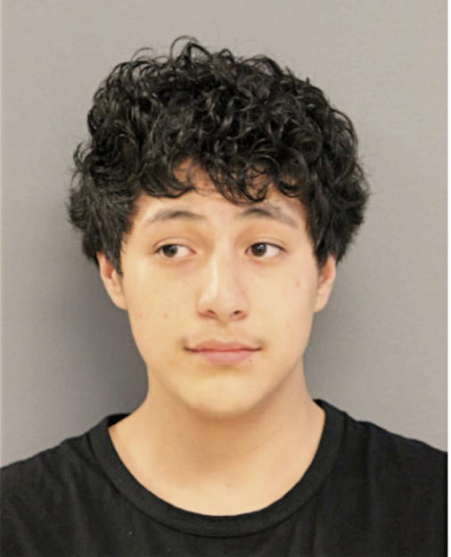 MOISES AVILES, Cook County, Illinois