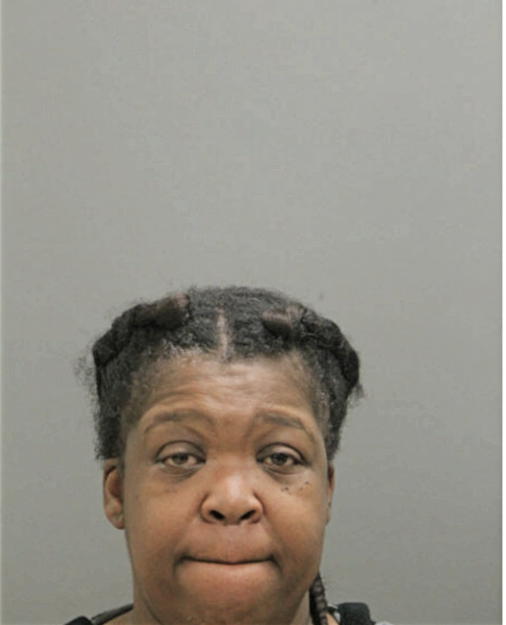THERESA BONNER, Cook County, Illinois