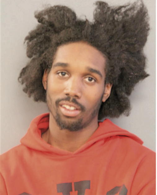 ANTONIO T BROWN, Cook County, Illinois