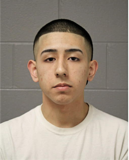 PHILIP C DELAMORA, Cook County, Illinois
