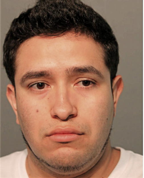PABLO D DELEON, Cook County, Illinois