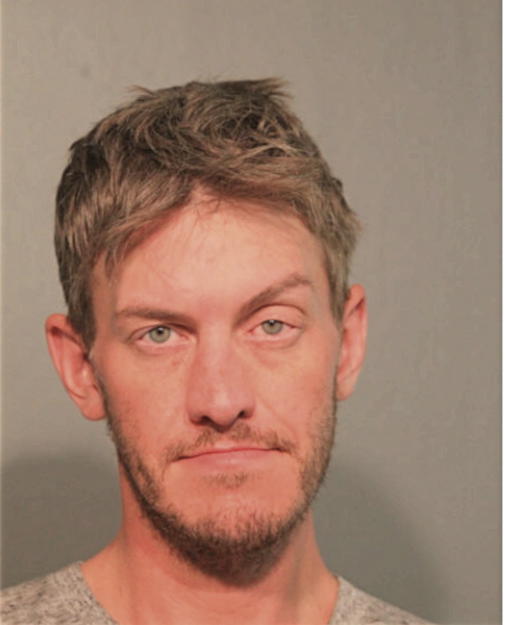 MATTHEW W DIBELIUS, Cook County, Illinois