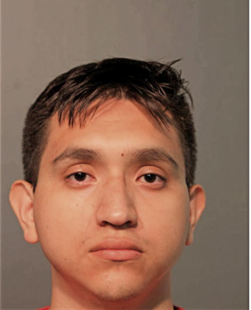 EDGAR DOMINGUEZ, Cook County, Illinois