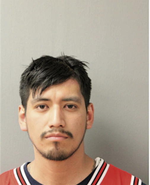 JUAN A ESCALANTE, Cook County, Illinois