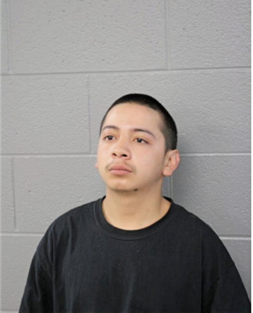 ADRIAN GONZALEZ, Cook County, Illinois