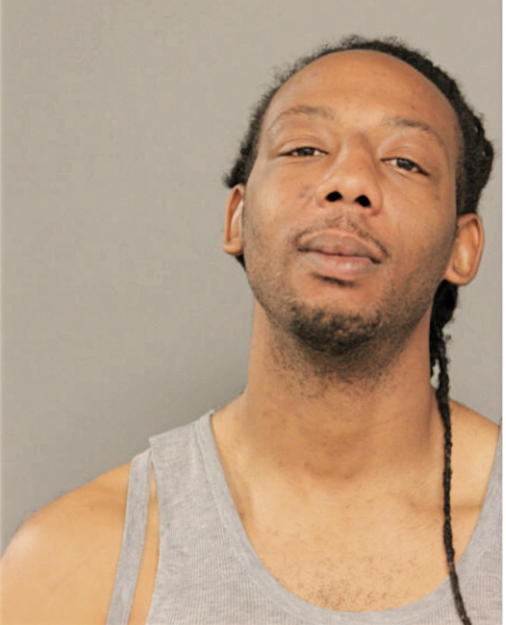 TERRY L HAYES, Cook County, Illinois