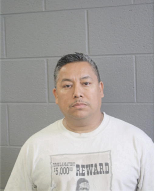 HECTOR A HERNANDEZ, Cook County, Illinois