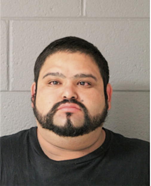 GUSTAVO HERRERA-MENDOZA, Cook County, Illinois