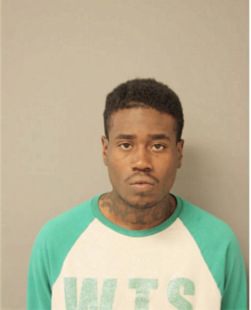 RASHEED D LEWIS, Cook County, Illinois