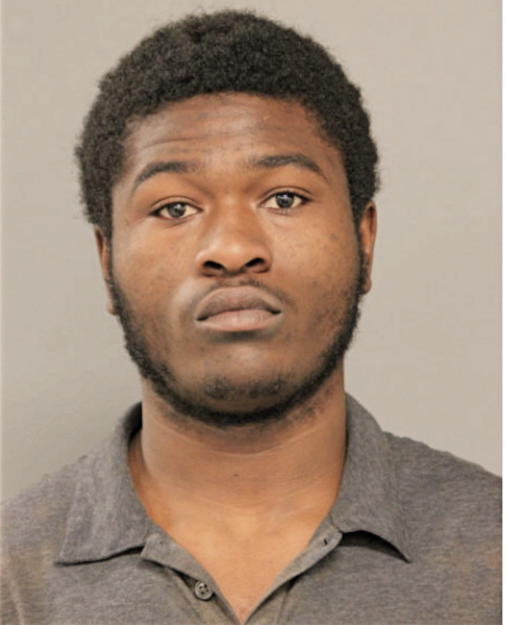 KAELYNN T LOGAN, Cook County, Illinois