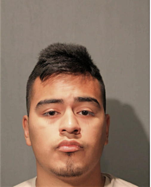 ALEXIS LUNA, Cook County, Illinois