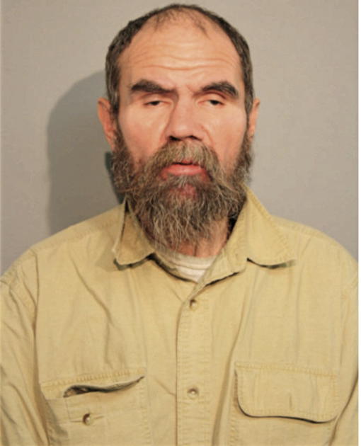 ROBERT E METZGER, Cook County, Illinois