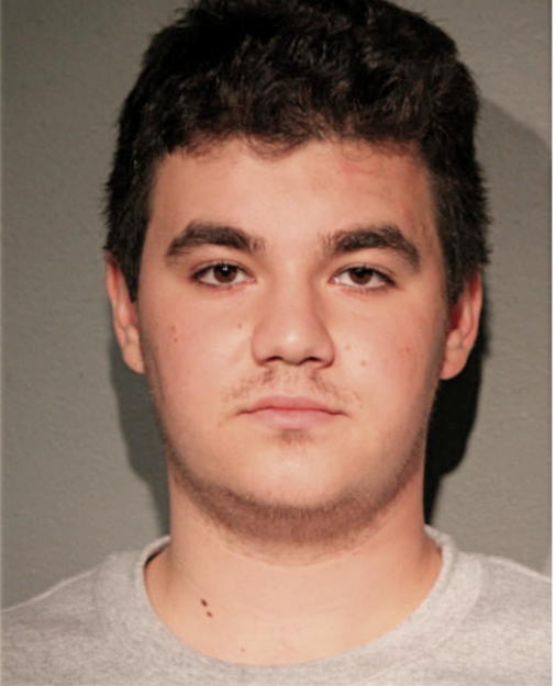 NICHOLAS MOSES, Cook County, Illinois