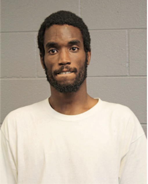LAMAR S NORFLEET, Cook County, Illinois