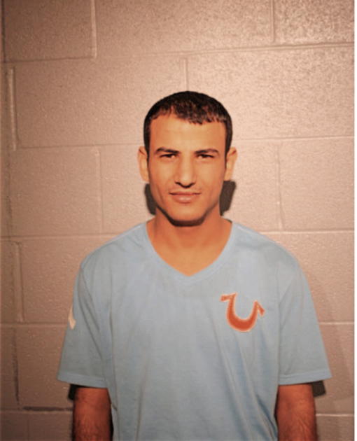 MOHAMMED M SALEH, Cook County, Illinois