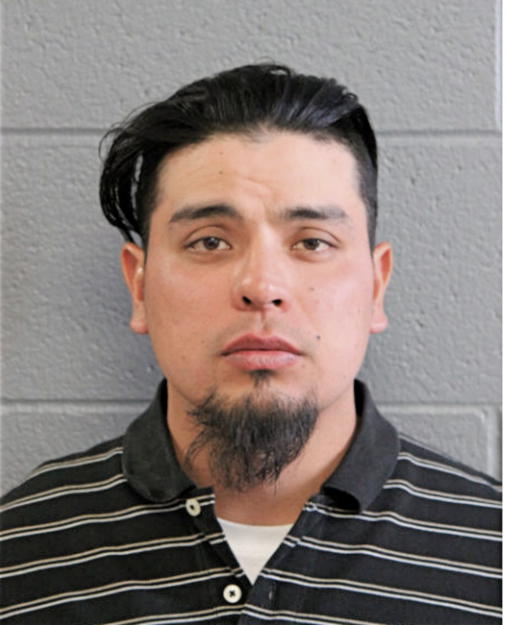 RODRIGO SANCHEZ, Cook County, Illinois
