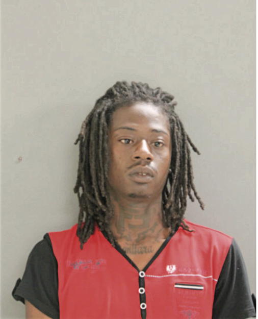 GREGORY L STEWART, Cook County, Illinois
