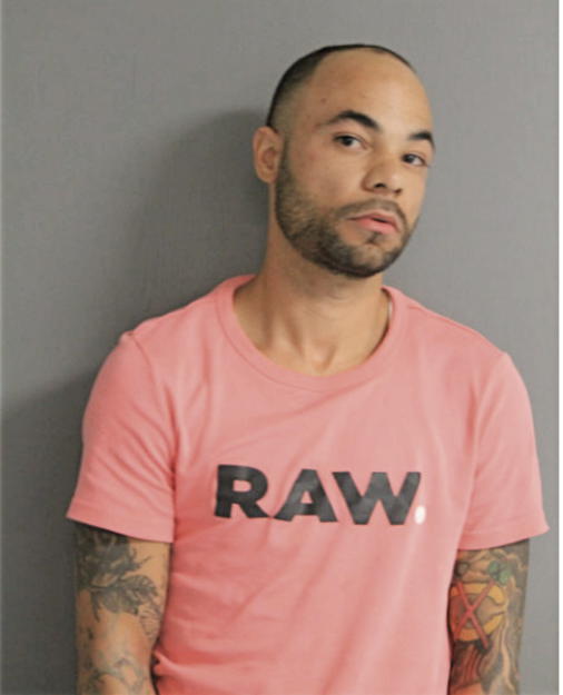 MICHAEL UNTIEDT-JONES, Cook County, Illinois