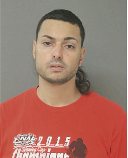 FRANCISCO O VEGA, Cook County, Illinois