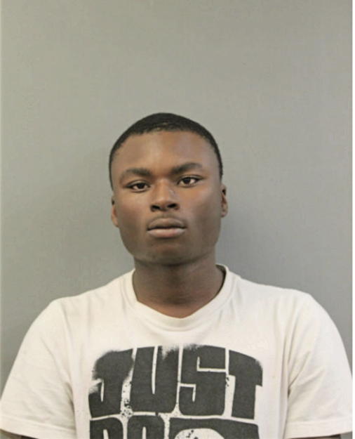 DERRICK W WARREN, Cook County, Illinois