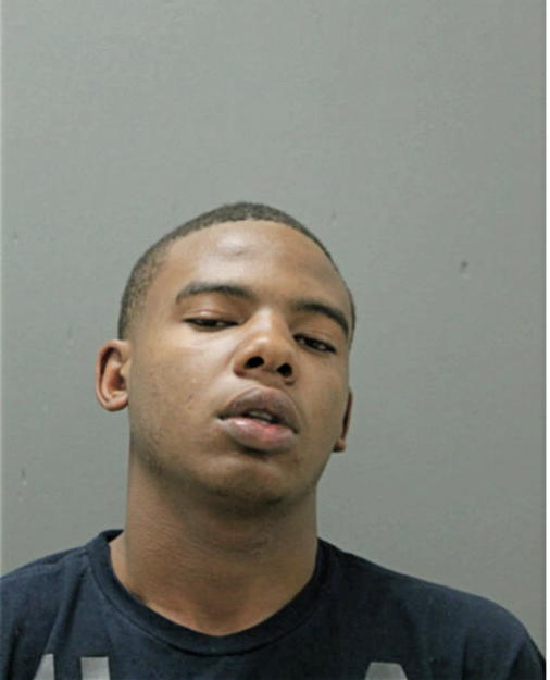 TERRENCE E WEBB JR, Cook County, Illinois