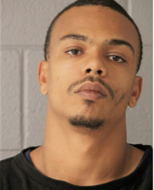 JOSHUA F ANDERSON, Cook County, Illinois