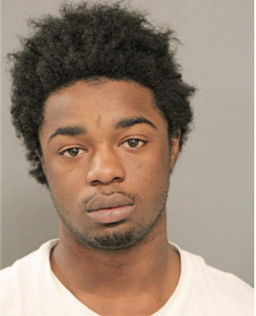TERRY J BREWER, Cook County, Illinois