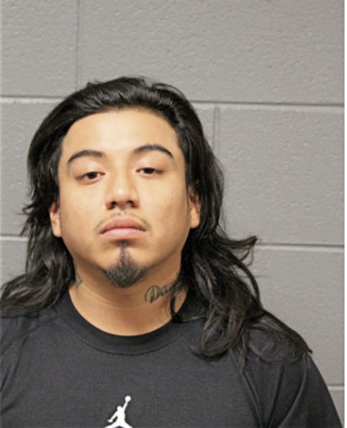 BRIAN S ENRIQUEZ, Cook County, Illinois