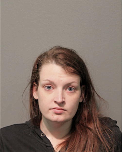 NICOLE L EVERTSON, Cook County, Illinois