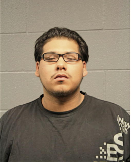 VICTOR FONSECA, Cook County, Illinois