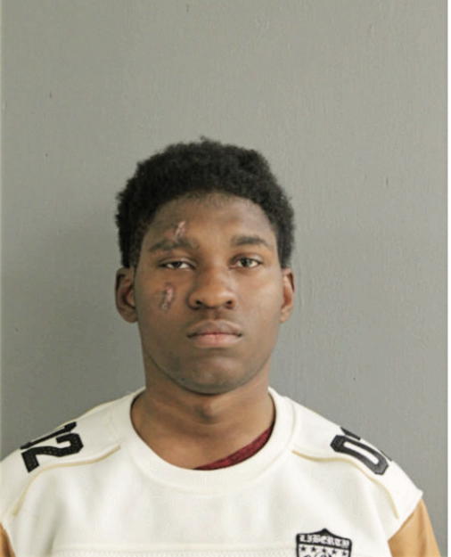 MARIO L FOSTER, Cook County, Illinois
