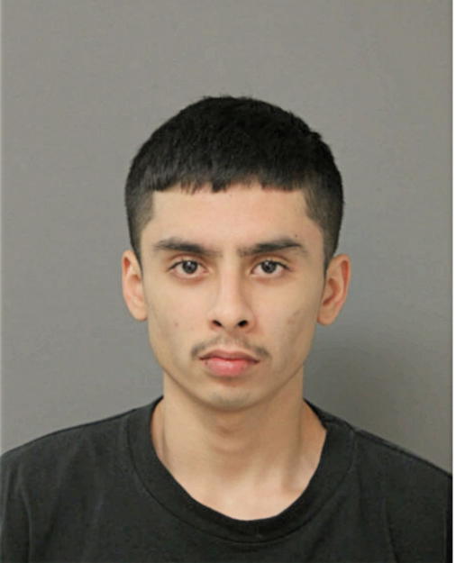 ERNESTO M GOMEZ, Cook County, Illinois