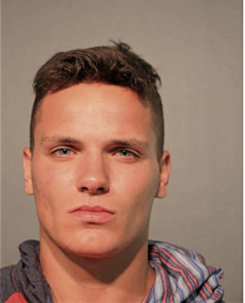 DILLON J HALLAM, Cook County, Illinois