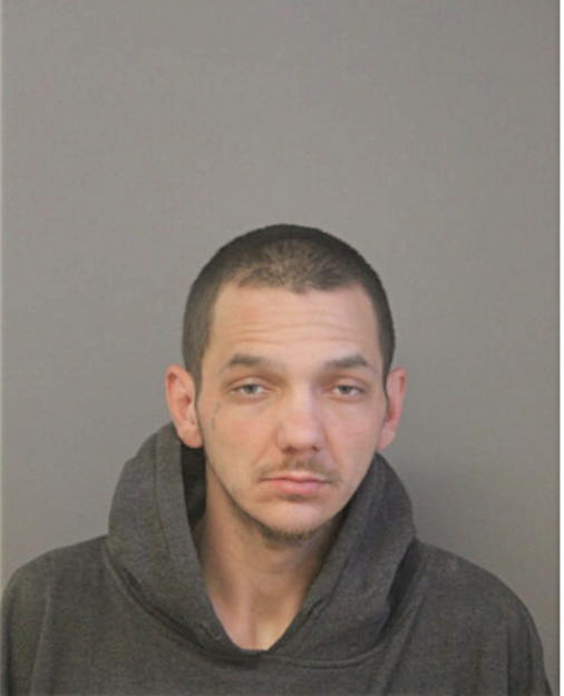 BRIAN J HAMILTON, Cook County, Illinois