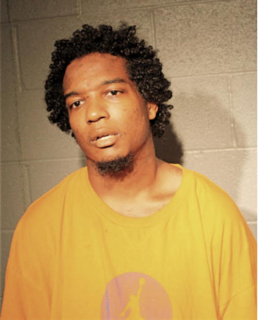 MICHAEL D HARDIMAN, Cook County, Illinois