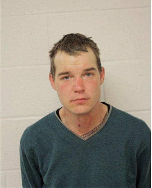 MARK G HENIFF, Cook County, Illinois