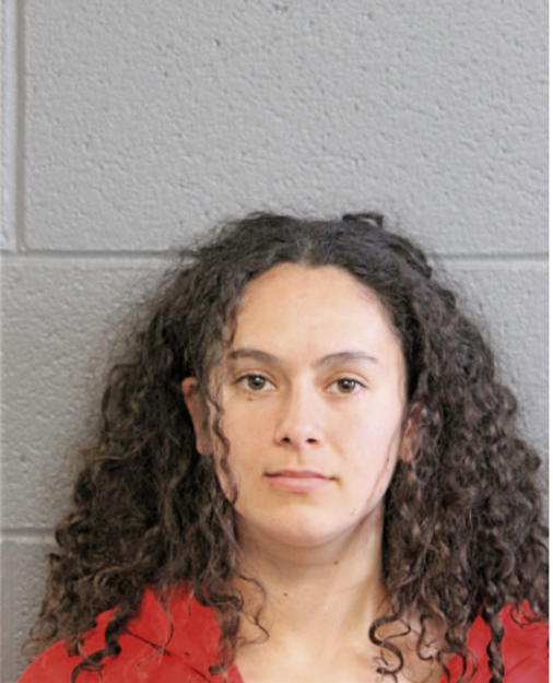 TIKA LIFTON HERMAN, Cook County, Illinois