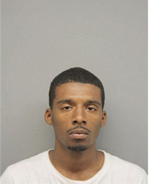 CHARLES L JOHNSON, Cook County, Illinois
