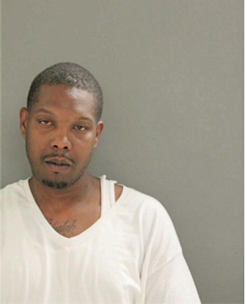 STEVEN J LYLES, Cook County, Illinois