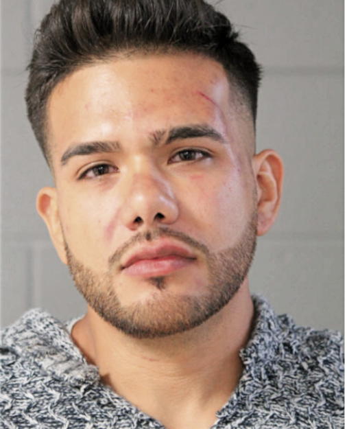 HECTOR MARTINEZ, Cook County, Illinois