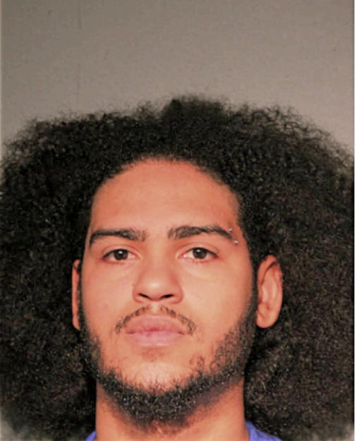 TIMOTHY J MENA, Cook County, Illinois