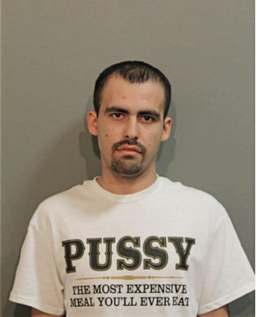 CHRISTIAN A MENDEZ, Cook County, Illinois