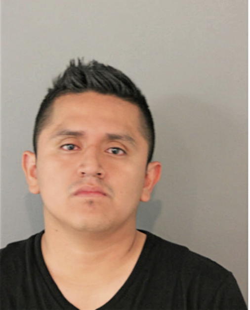 LUIS W MIZHQUIRI AGUAYZA, Cook County, Illinois